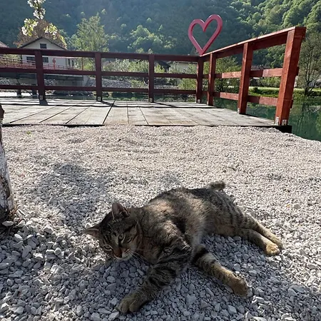 Kacar Jezero-jajce Apartamento